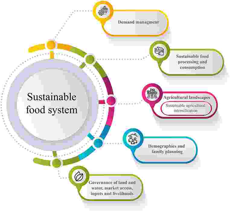 Figure shows sustainable agricultural intensification within a sustainable food system in an African or a low-income country